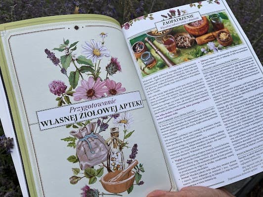 Zioła polskie – praktyczny poradnik: lecznicze • kosmetyczne • kulinarne (+ przepisy)